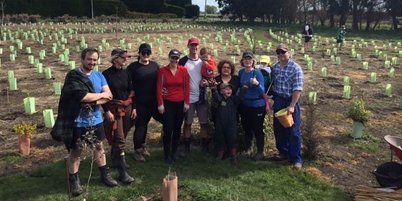 Tree Planting