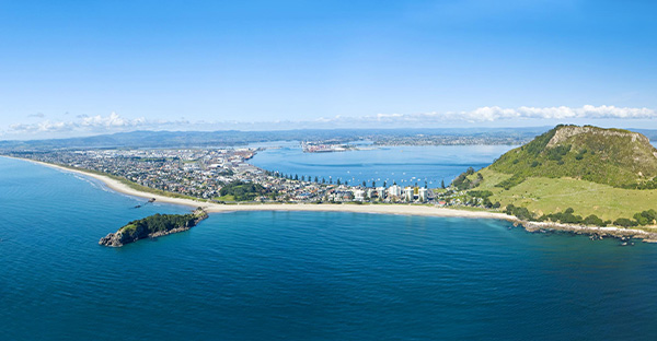 Tauranga Office